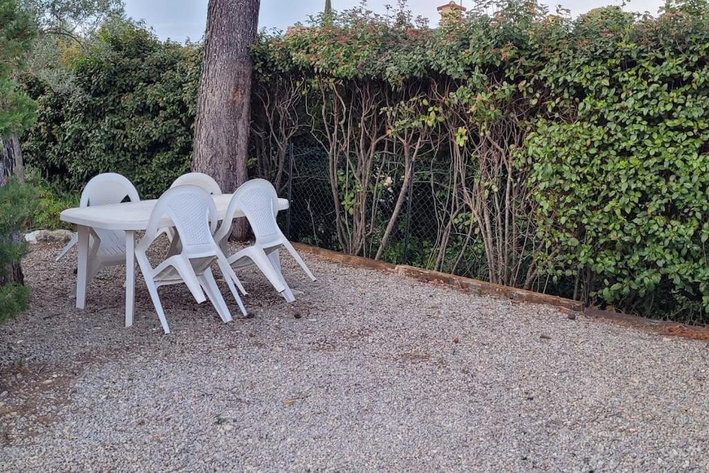 Appartement Dans Une Villa Au Coeur De La Provence Trans-en-Provence Eksteriør billede