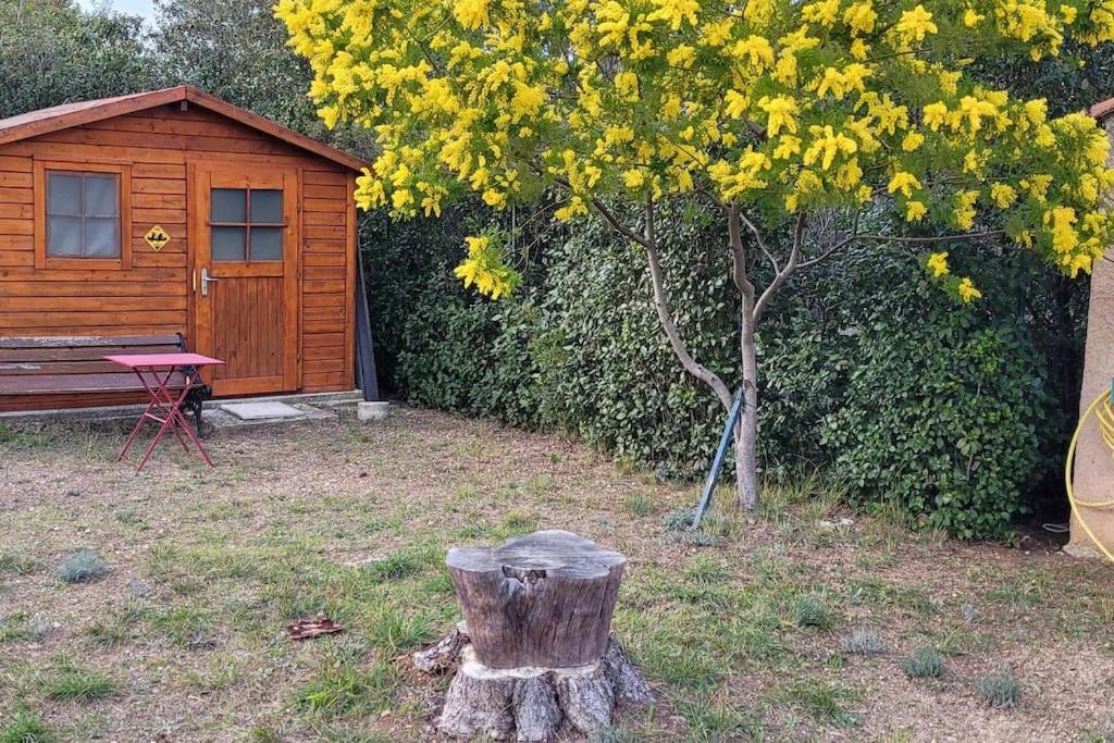 Appartement Dans Une Villa Au Coeur De La Provence Trans-en-Provence Eksteriør billede